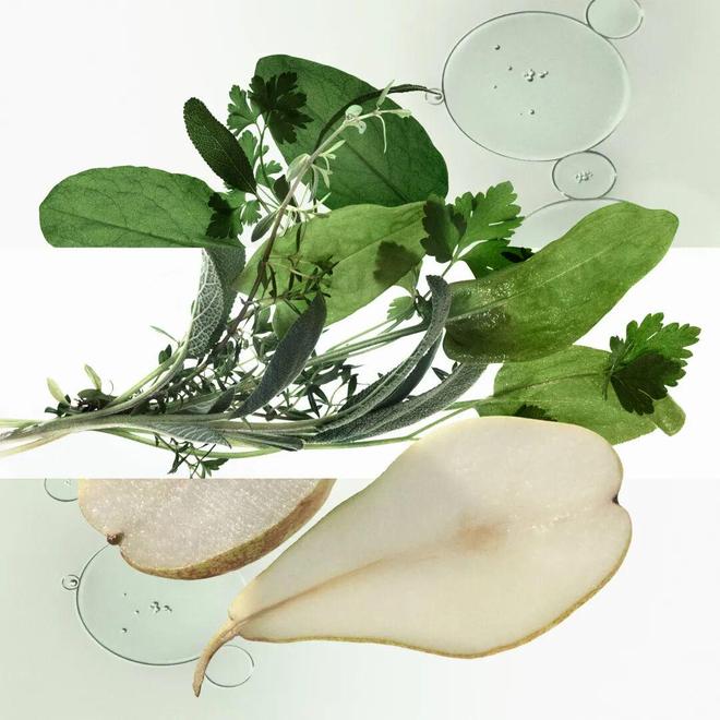 章已启美妆、香氛与腕表共赴闪耀时刻PG麻将胡了“伊”手快报 节庆序(图25)